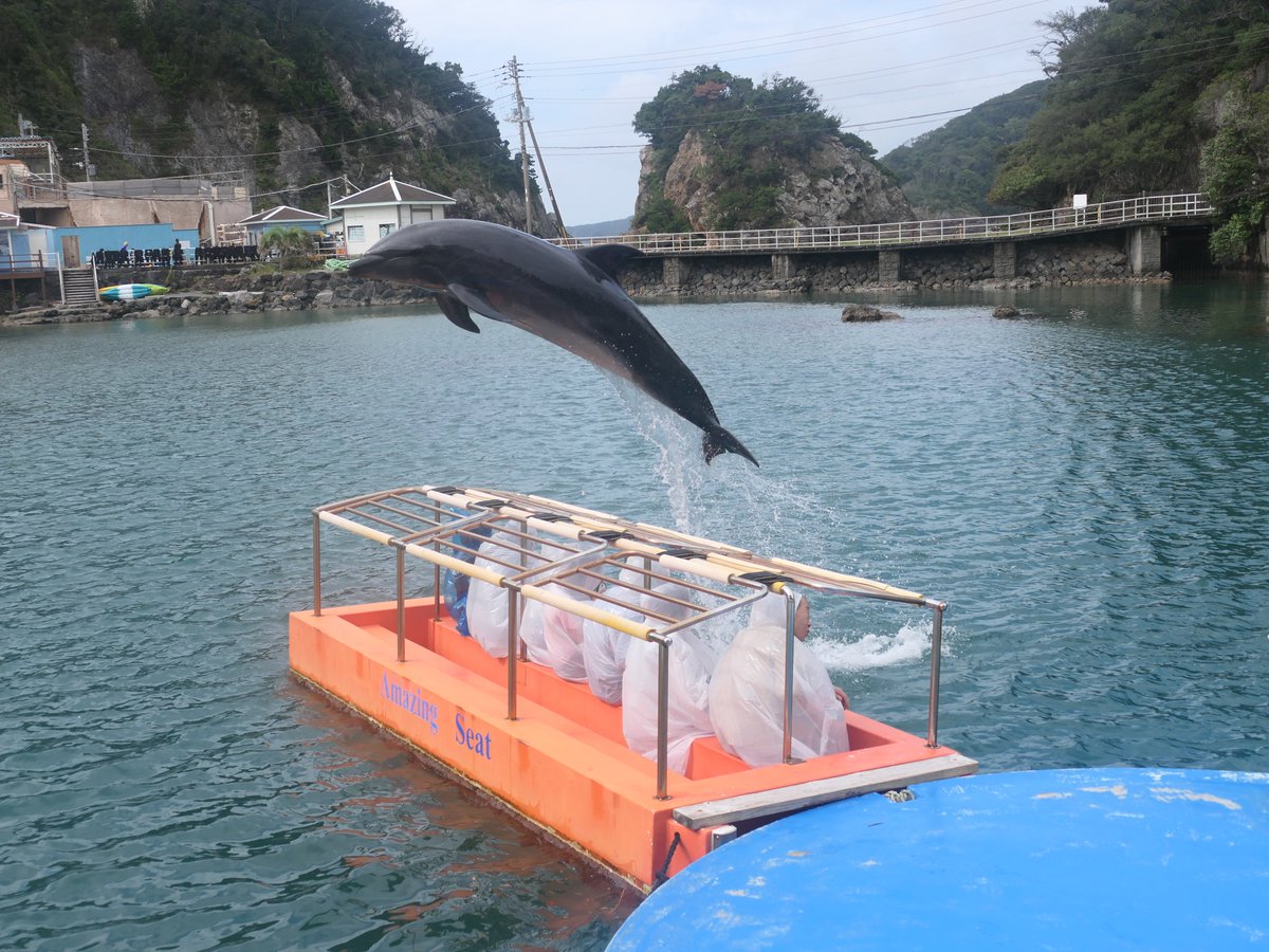 おきくらげ on X