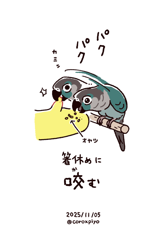 しちみ🐣 (@roll08081227) / Posts / X しちみ🐣 (@roll08081227) / Posts / X