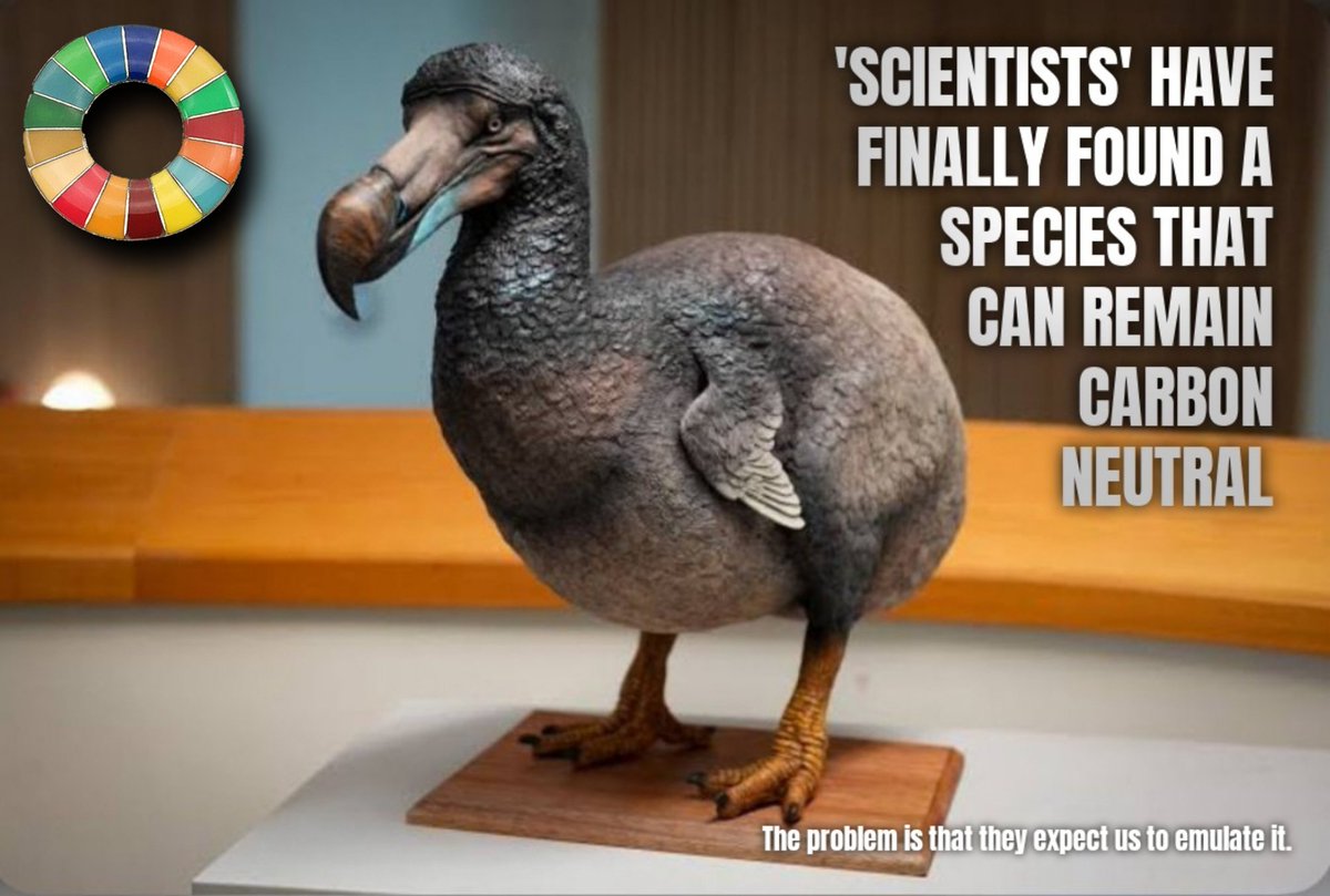 museumsireland's tweet image. The lucrative #ClimateScam will never die out while it&apos;s being fed a constant revenue stream.

#NetZeroHoax 

oxfam.org/en/press-relea…