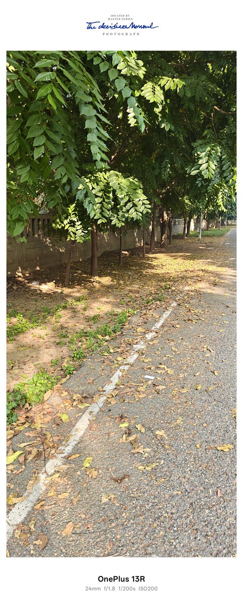 xu_rwa's tweet image. “Poor horticulture maintenance — contractor’s work is substandard and neglected; Authority must take strict action.” Sector XU2 GN
@OfficialGNIDA @noidakhabar #PoorService #dhandhali #YogiAdityanath