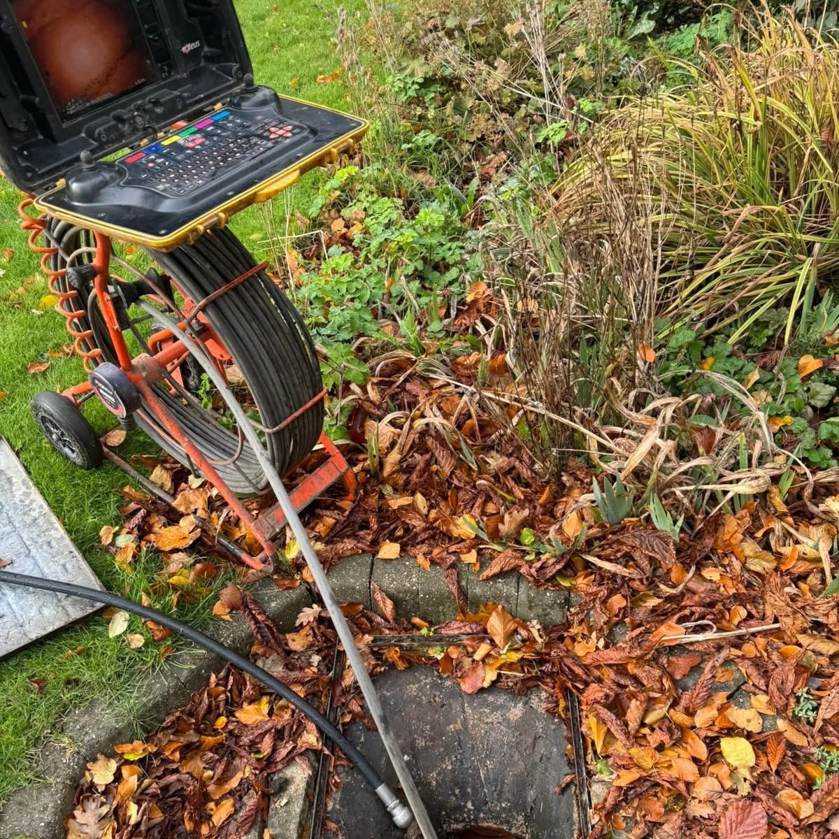 Alternative Drainage tweet media