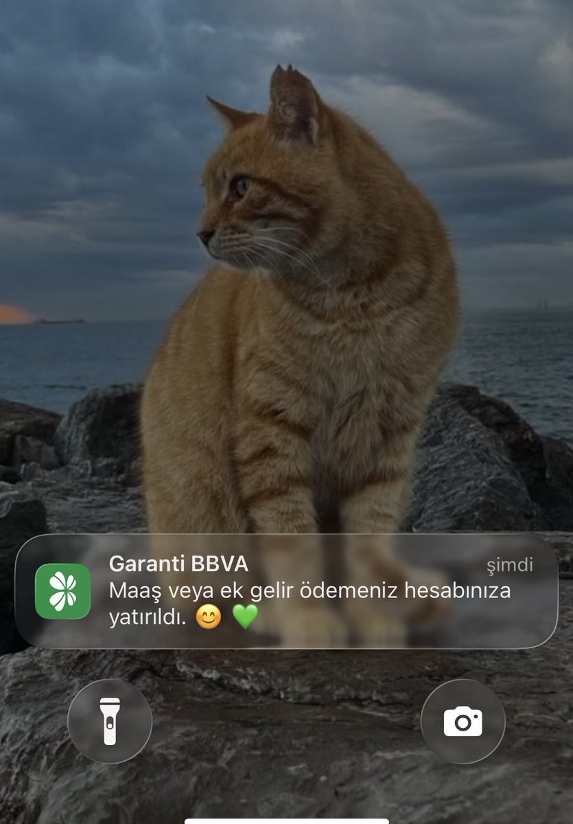 esragezenn's tweet photo. Borçlarımın maaşı yatmış. https://t.co/9WwchpBNEC