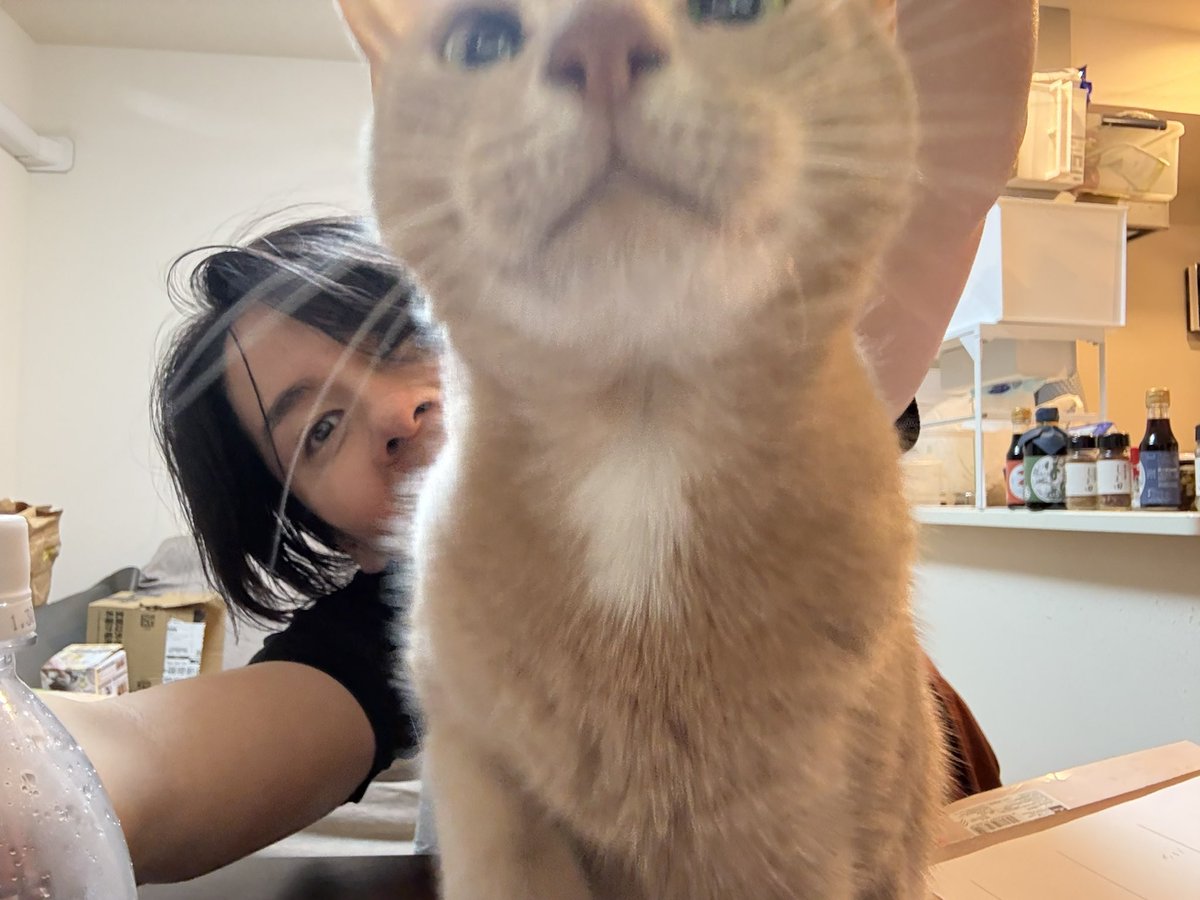 dnm3rd's tweet image. 見てごらん、Twitter民がオマエを求めてスクロールしてるよ。