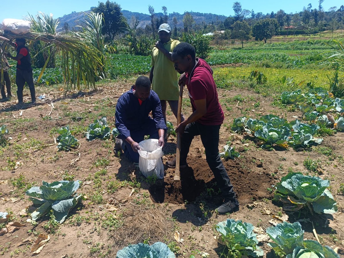 @SolidaridadECAhas been implementing the Roots of Resilience: Restoring biodiversity for Food Security (Roots Project). With the support of  <a href="/NLinKenya/">Netherlands Embassy in Kenya</a> , the project is addressing biodiversity loss, soil degradation, and climate-driven food insecurity in 
<a href="/TaitaTaveta006/">Taita Taveta County Government</a>