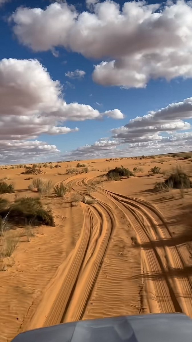 #مساء_الخير_والسعاده_للجميع