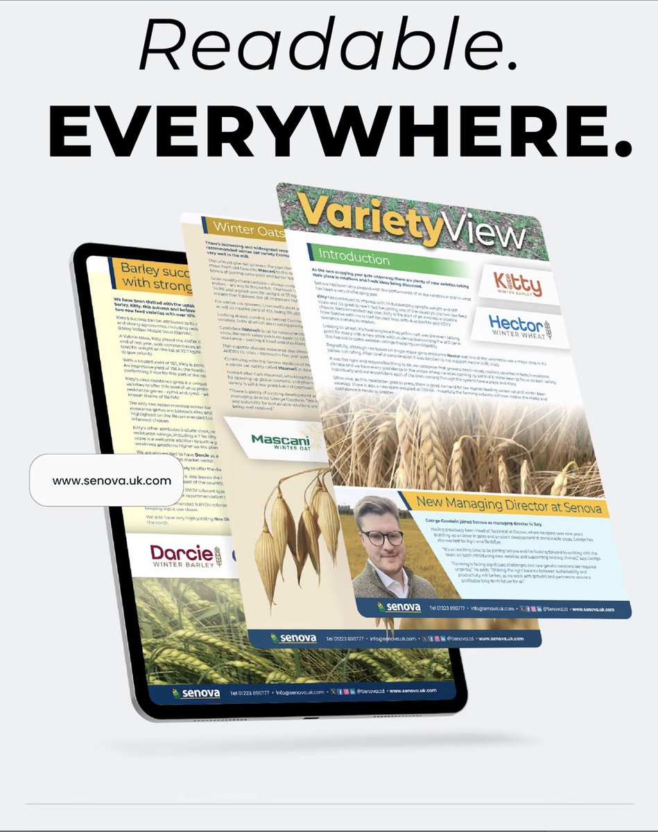 CamMarketingLtd's tweet image. Complex ideas, clearly delivered — on screen and paper. 📰💻  
Readability matters! Clear layouts make complex info easy to grasp, building trust and engaging your audience.  
#ContentDesign #Readability #PrintAndDigital #BrandClarity #CambridgeMarketing