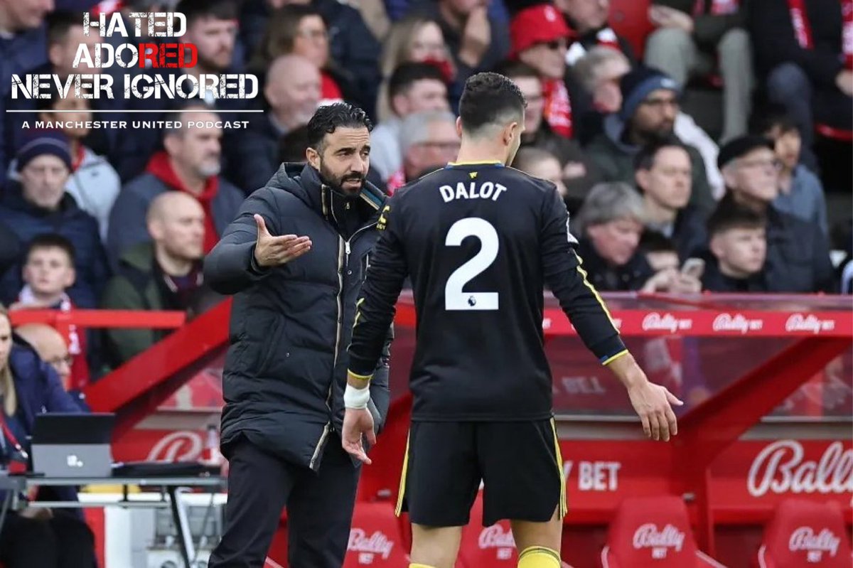 Hated, Adored, Never Ignored Podcast 🎧🇾🇪 tweet media