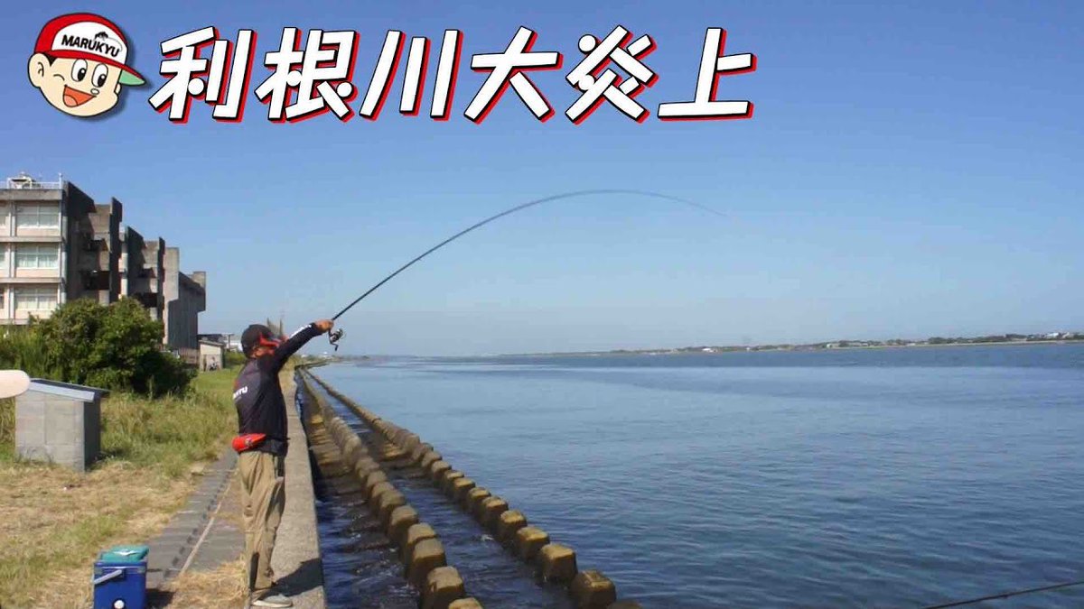 9chan_fishing's tweet photo. 🔹新着公開🔹

『クロダイ！キビレ！ハゼ！（後篇） 千葉県銚子市 利根川河口』

今回もクロダイ名人、トシちゃんこと宮永敏彦名人と釣りを楽しみます♪
絶好調のトシちゃんに負けないように大物を釣るわよ‼︎

お楽しみに！
https://t.co/eLUPlUlHRO

#釣り初心者 #片原恵麻 #クロダイ #ハゼ #キビレ https://t.co/ykqzKMyhnj