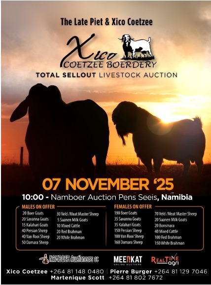 Get ready for the Biggest Livestock Auction ever!

7 November at Namboer Auction Pens, Seeis 10 KM from Hosea Kutako Airport — where history and heritage go on auction!
Check out the Namboer Auctioneers Facebook page for a sneak peek at the animals on auction.
