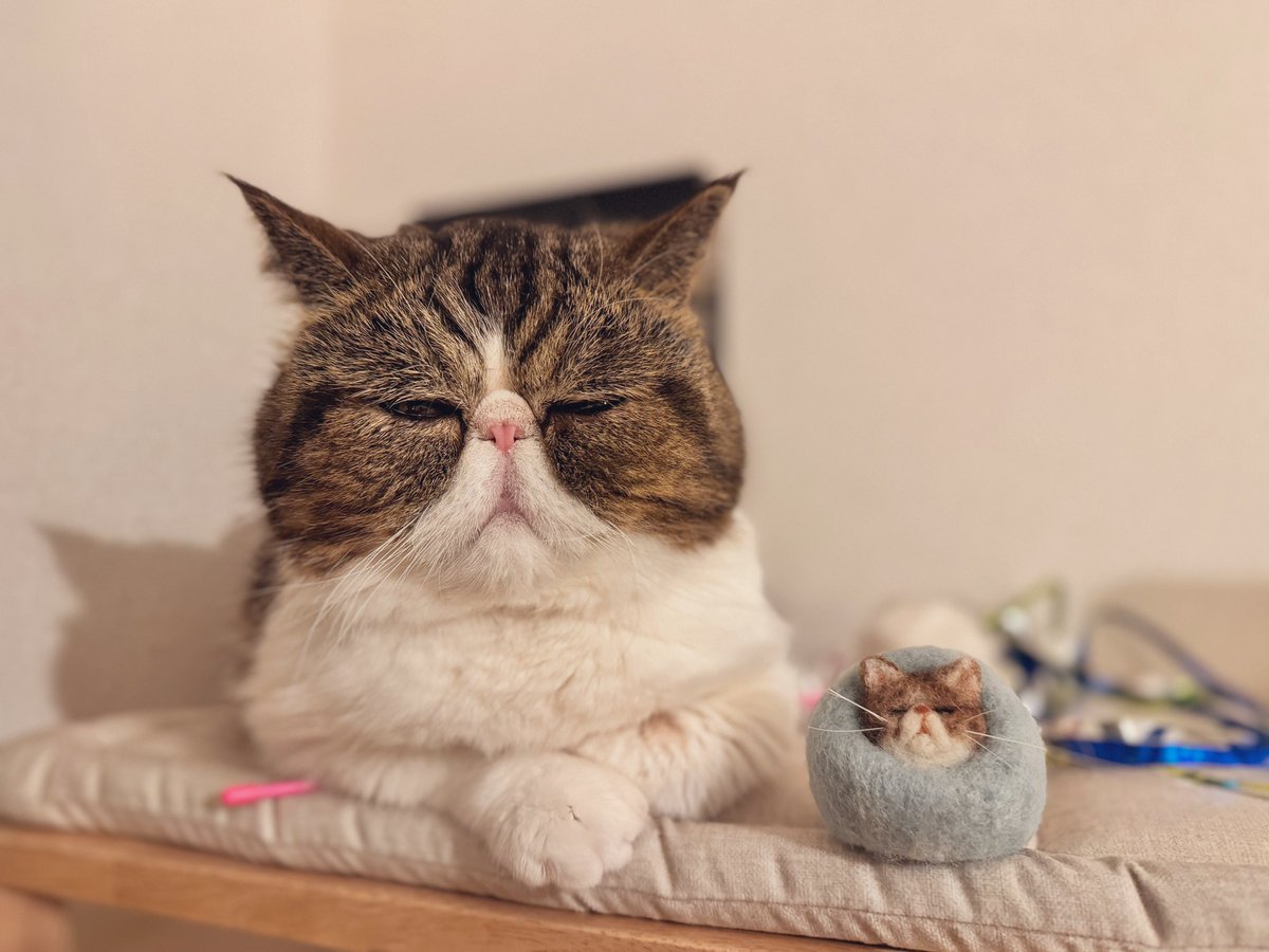 ちくわ坊や (@chikuwa3280) / Posts / X