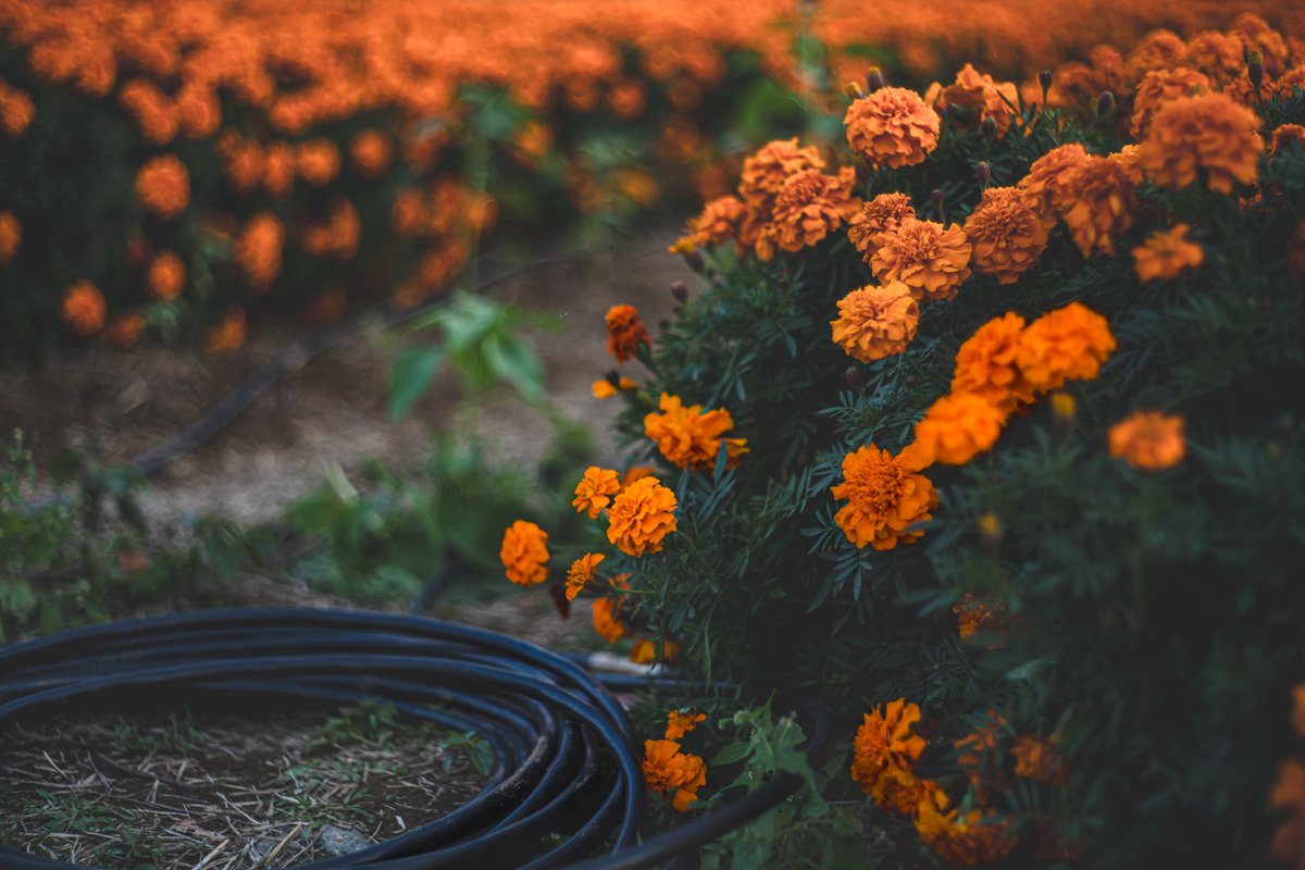 いっくん▷秘密の写真展 XIありがとうございました✨ on X