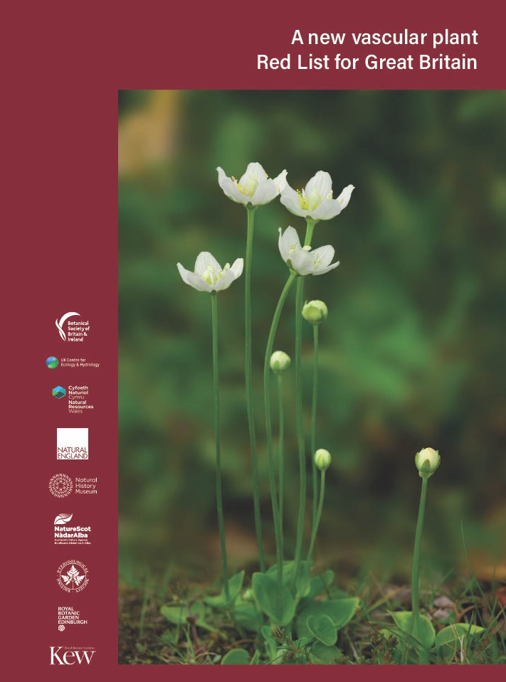 New #GBRedList for vascular plants published today as a special issue of #BritishandIrishBotany, the <a href="/BSBIbotany/">BSBI: Botanical Society of Britain & Ireland</a> online, Open Access scientific journal:
britishandirishbotany.org/index.php/bib/…
Also available (cost £10) as an eBook: bsbi.org/publications/e…
Press release: bsbi.org/wp-content/upl…