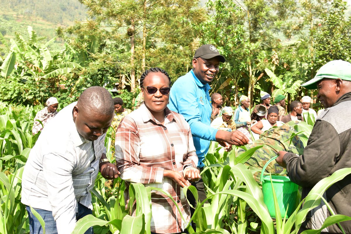 Nyabihu District tweet media