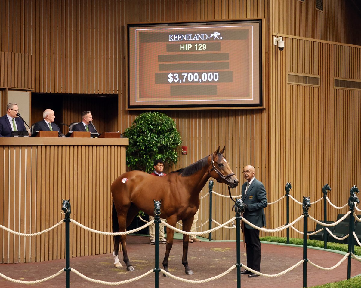 rpbloodstock's tweet image. 💫 "You saw the QEII, she really accelerated at the end, that's what you need in a grass horse. She's all class."

British-bred filly Lush Lips to race on after bringing a sale-topping $3.7 million at Keeneland

Read more here 👉 bit.ly/4nGXWLf