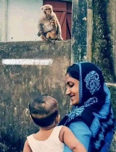 اپنی آغوش میں پالے ہیں پیغمبر اس نے 
 باعث فخر ہے __عورت کے لیۓ ماں ہونا

#روشنی