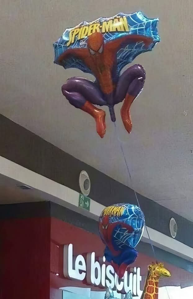 SolarReptile's tweet image. 