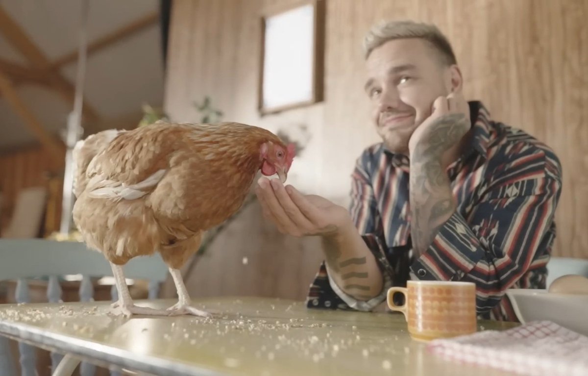 Liam_P_Forever's tweet photo. ✨️You're like a sunshine, only giving good vibes✨️
Words that sum up Liam perfectly!
#LiamPayne #RememberingLiam #StreamSunshine https://t.co/zHumeItFyE