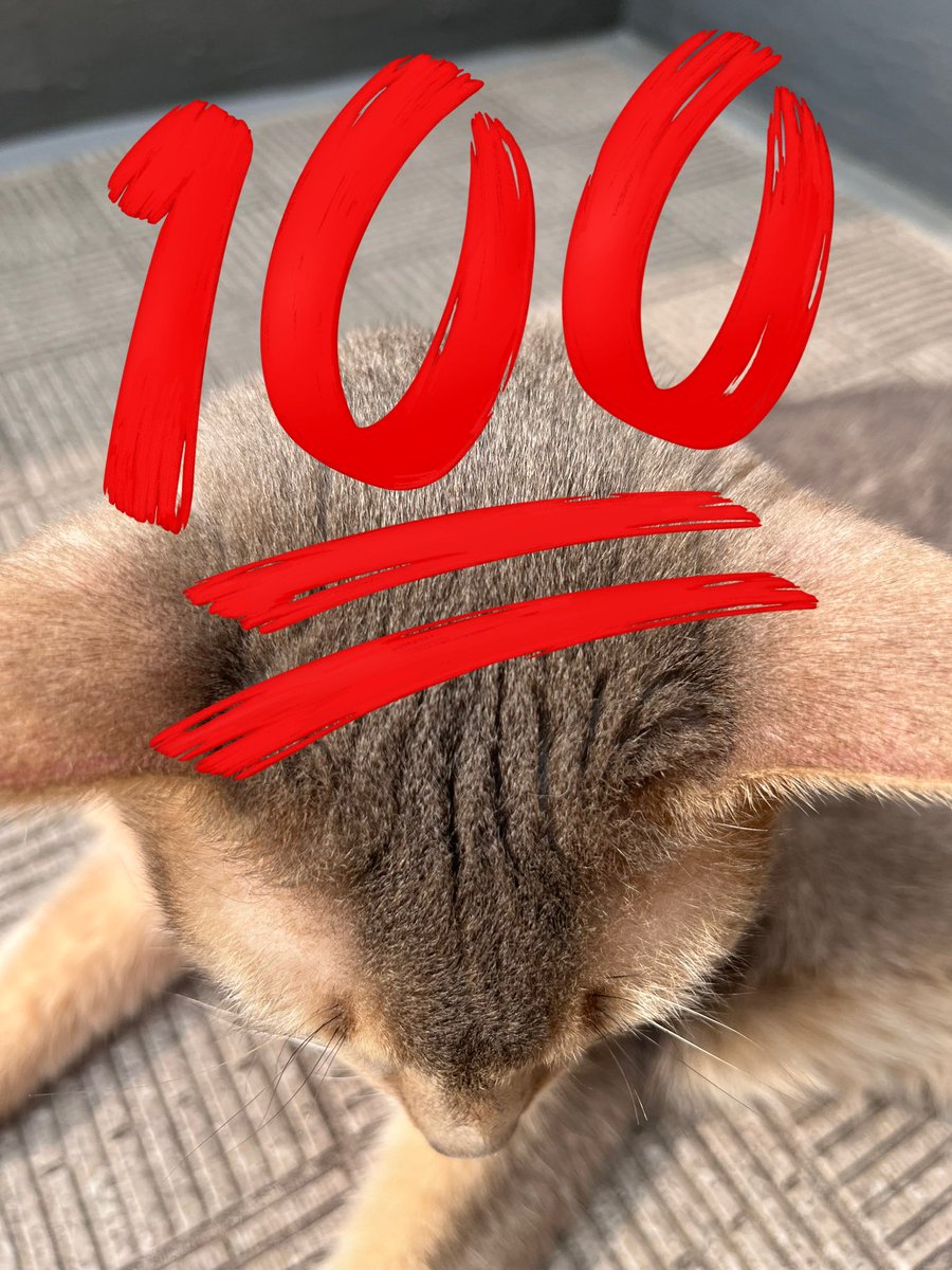 あや子 (@aoko0118) / Posts / X