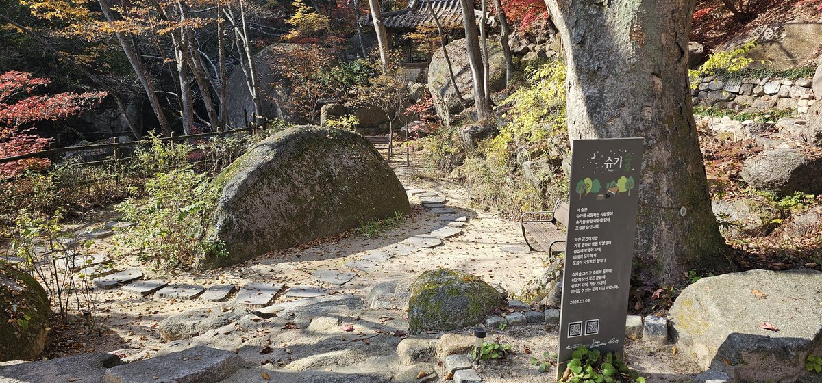 슈가숲
단풍이 너무이쁘네요!!!
어쩜 숲마저 너처럼 위로가되니!
오늘따라 유독 네가 보고싶다 윤기야!!