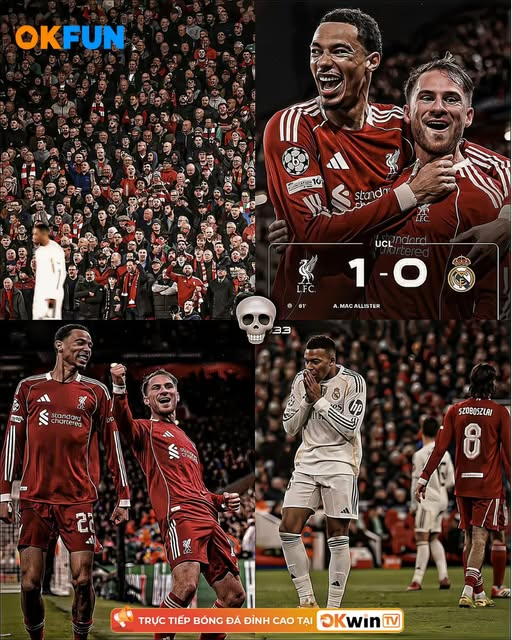 OkFunSport's tweet photo. 🔥 Anfield erupts as Liverpool stun Real Madrid 1-0! Mac Allister’s strike seals a fiery night of pride and passion! ❤️‍🔥🏆
#OKwinTV #OKFun #OKFunTV https://t.co/gTnQsZeePv