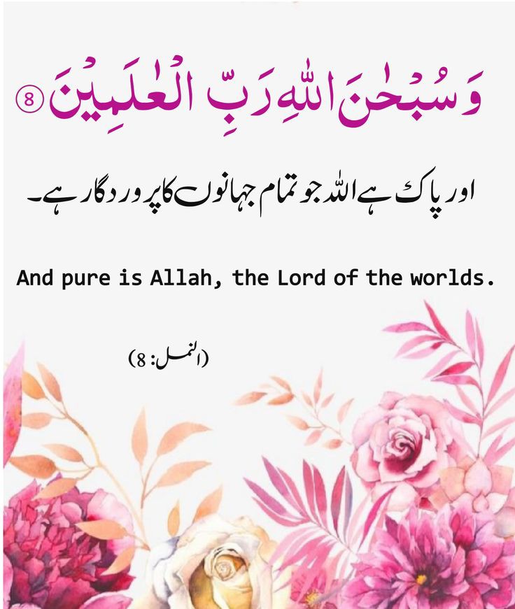 🪴السلام علیکم ورحمتہ اللہ وبرکاتہ 🪴 
🪴نماز پڑھیں 🪴قرآن مجید پڑھیں 🪴
#خاتم_النبیین_محمدﷺ