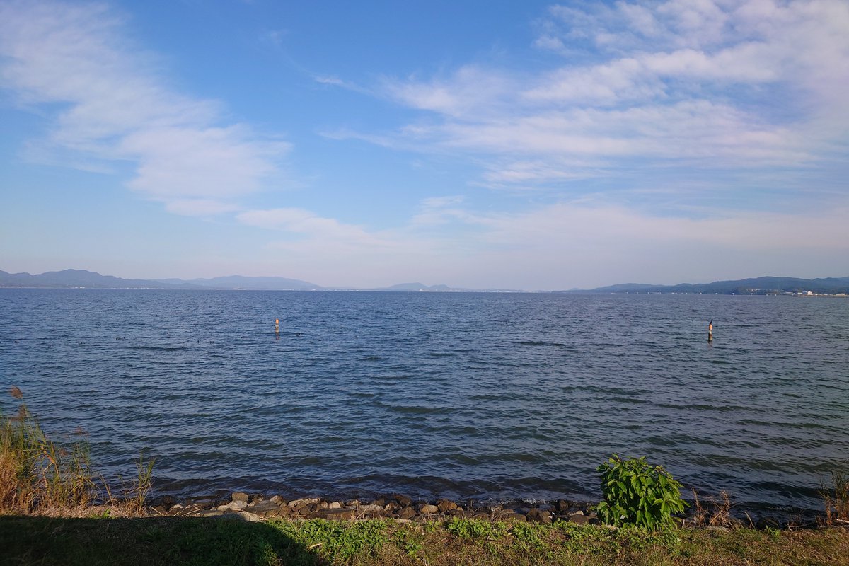 たろけんぴ tweet media