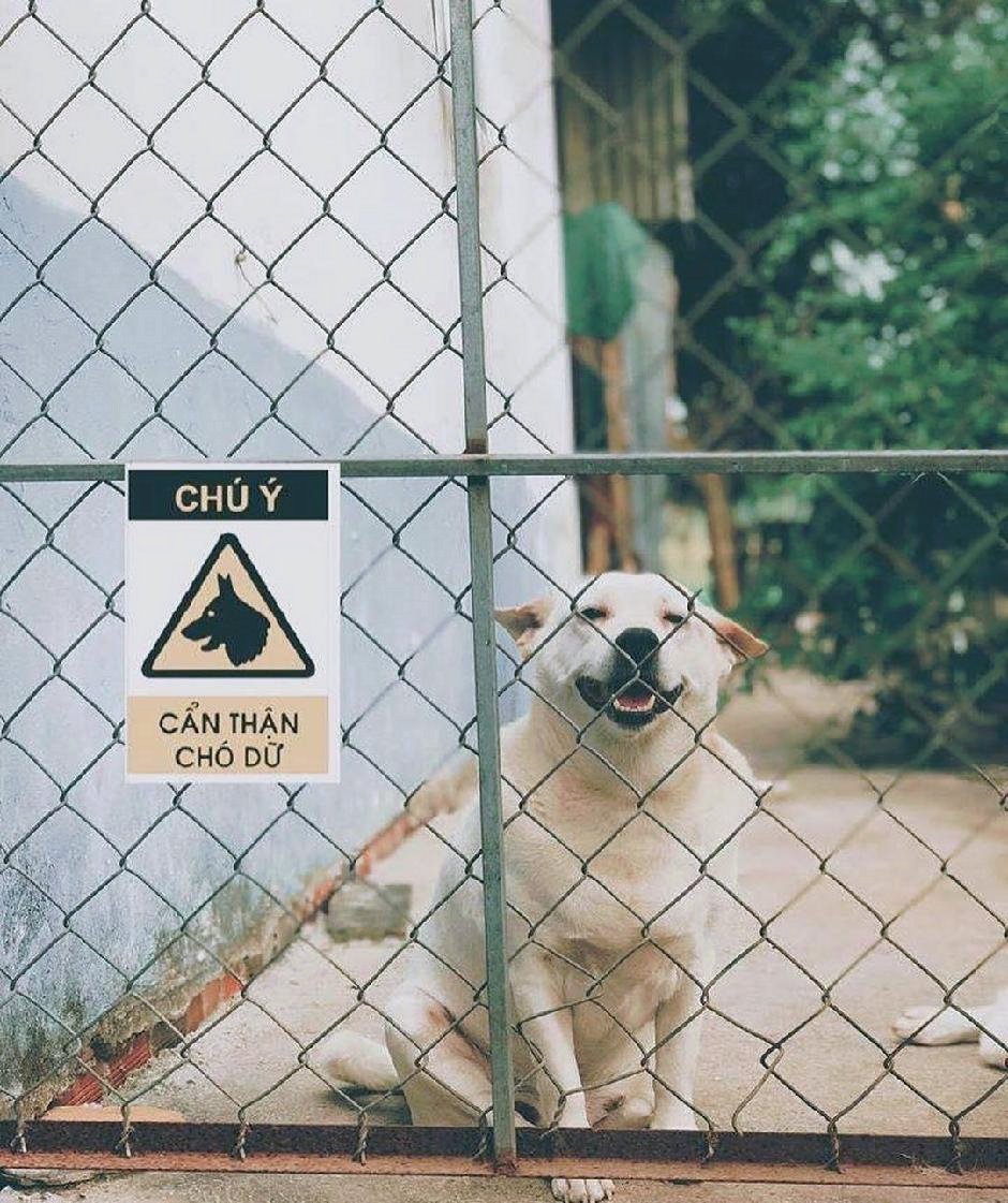 Mable Fleming tweet media