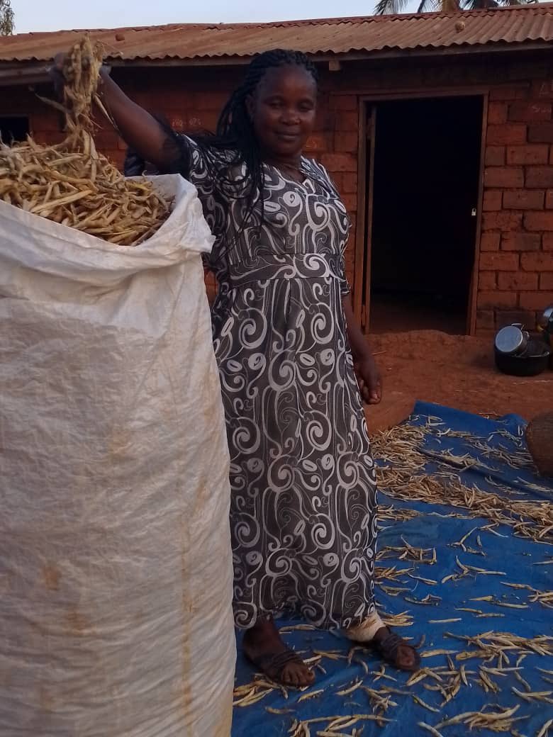 « La terre nourrit, les femmes la font vivre. 🌾🍅 #Agroécologie #FESO »