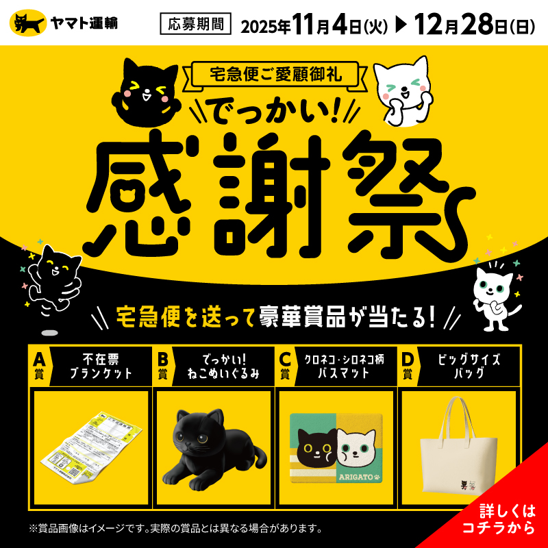 juuアカウント⭐︎ miumiu‎❤💙 on X