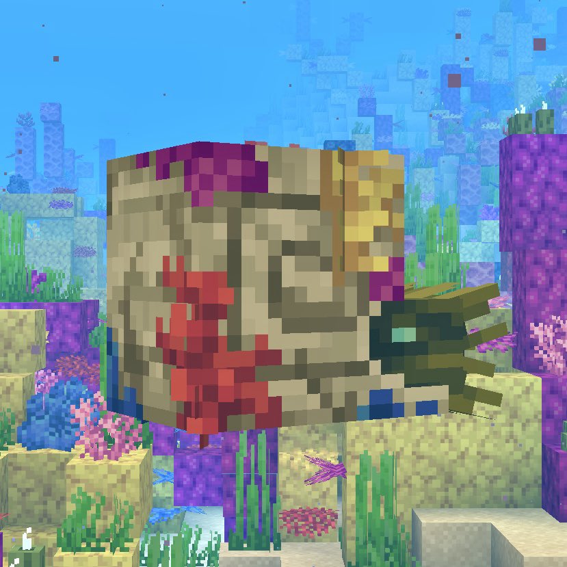 ゾンビオウムガイにサンゴが付着した亜種が追加！