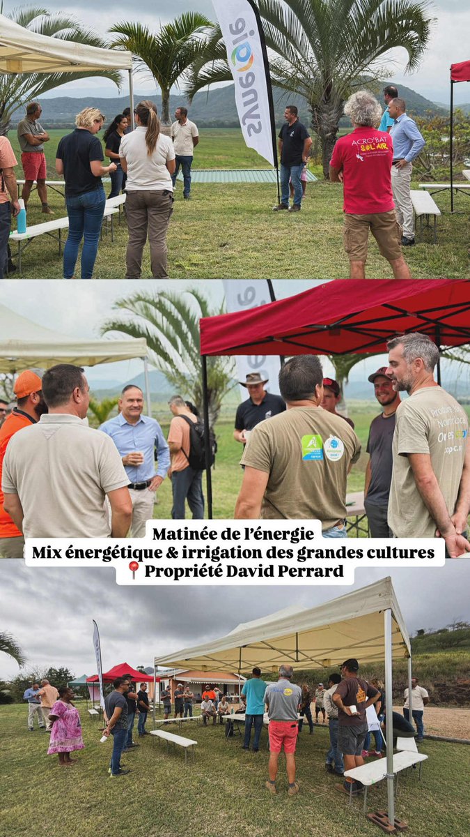 Pascal Vittori tweet media