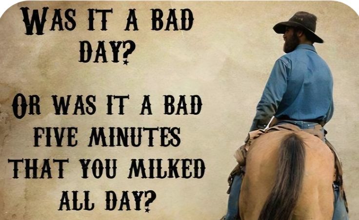 Sharon (@sherrydp105) on Twitter photo 