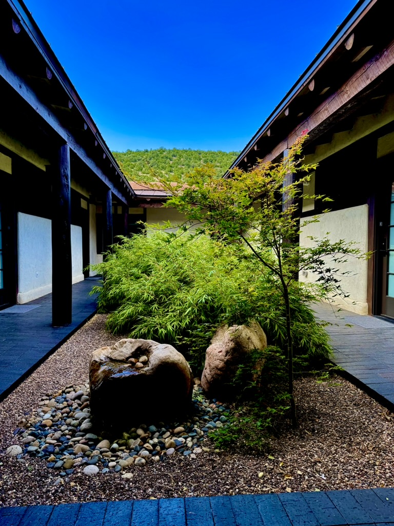 Joan Halifax tweet media