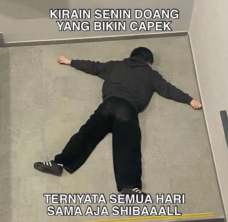 Laaa tweet media