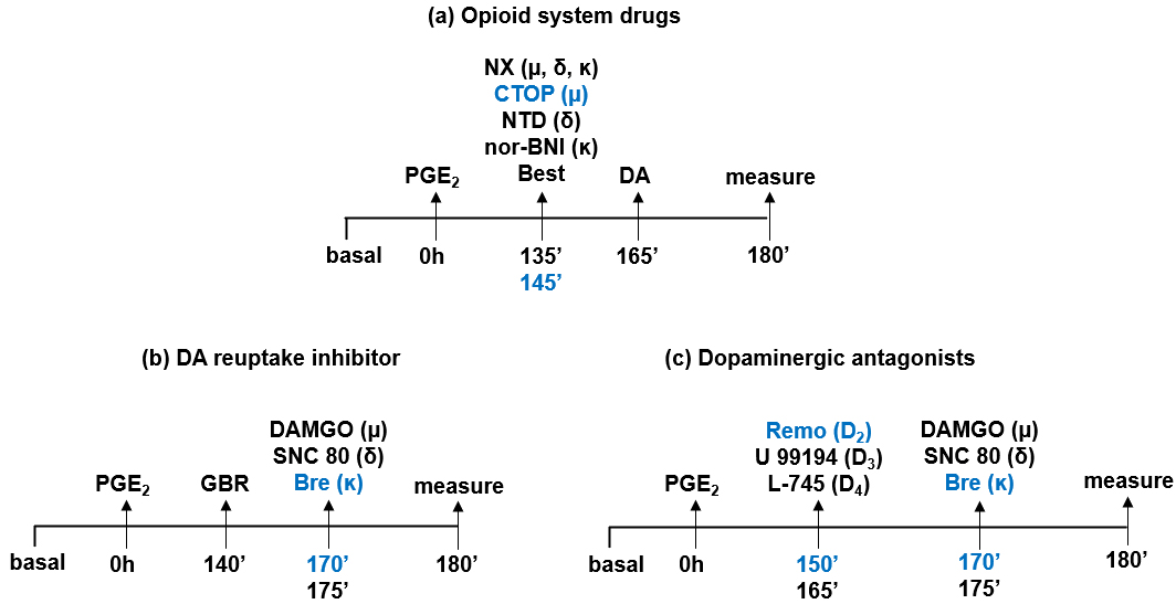 KateLiu08703628's tweet image. New research @JINeuroscience Dopaminergic and Opioid Systems Interact to Produce Peripheral Antinociception in Mice imrpress.com/journal/JIN/24…
👨‍🎓Igor D. G. Duarte, et al #Brazil
#peripheral #antinociception #dopamine #dopaminergic #opioid #pain #modulation #chronicpain #Neuroscience