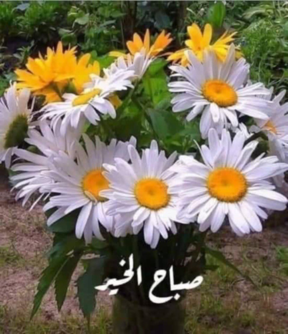 من السهل أن تتبنى الأفكار السائدة وتظن أنها أفكارك، فالبقاء ضمن مجموعة يمنح شعورًا بالأمان.

لكنه أمان زائف، قد تفقد معه ذاتك، وتذوب في الجماعة حتى تصبح مجرد رقم إضافي، و صوت يردد أفكارهم دون وعي.

لا تخف أن تكون مختلفًا. كن أنت في إطار هم، فأنت وحدك من يمنح حياتك معنى.

#كن_نفسك