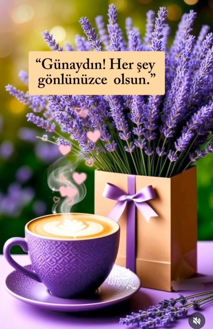 𝕸𝖚𝖘𝖙𝖆𝖋𝖆🇹🇷 tweet media