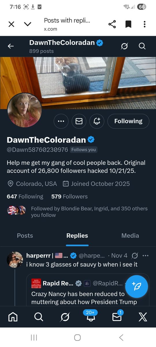 Both these accounts were hacked and are having to rebuild their accounts, let's help them find their old friends and some new ones
<a href="/BlondieBear625/">Blondie Bear</a> 
<a href="/Dawn58760230976/">DawnTheColoradan</a> 
F&amp;R
💪🫶💯🇺🇸