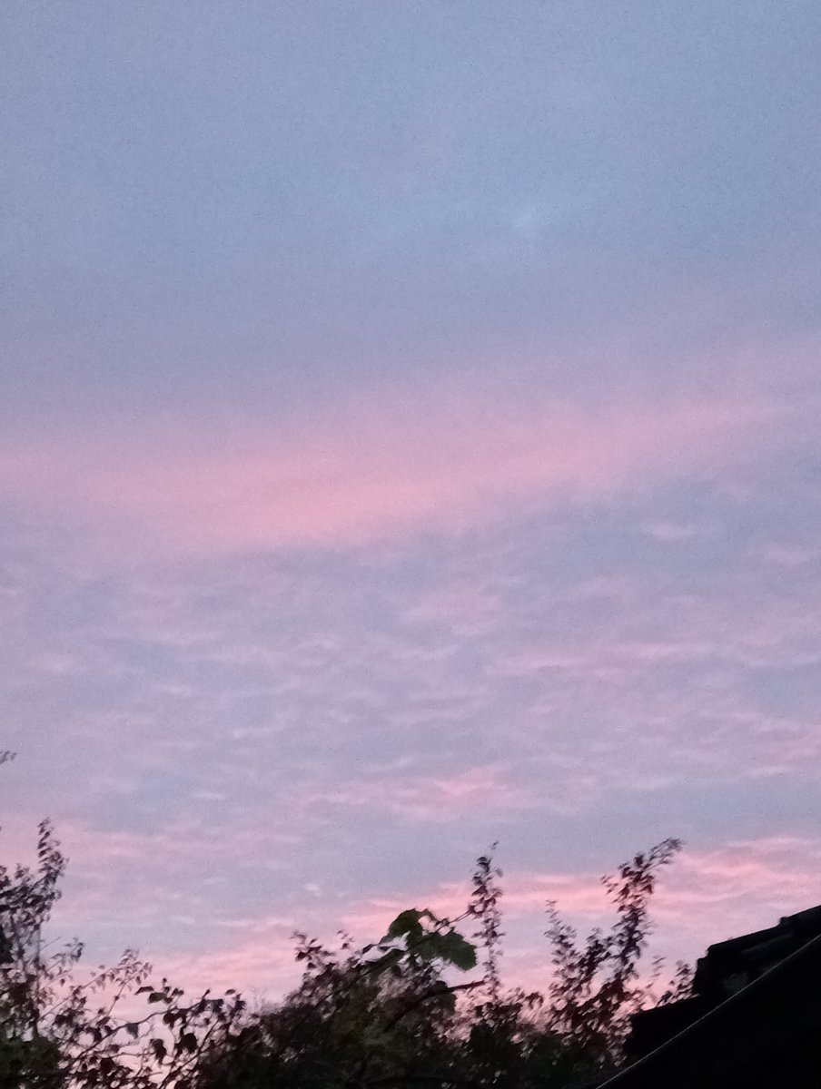 Lavante21575499's tweet image. The Netherlands, November 5th, 7:15am. Waking up to this crap every day. #geoengineering #HAARP #DOPPLER #NEXRAD #EISCAT. 🤬☠️💀🤮