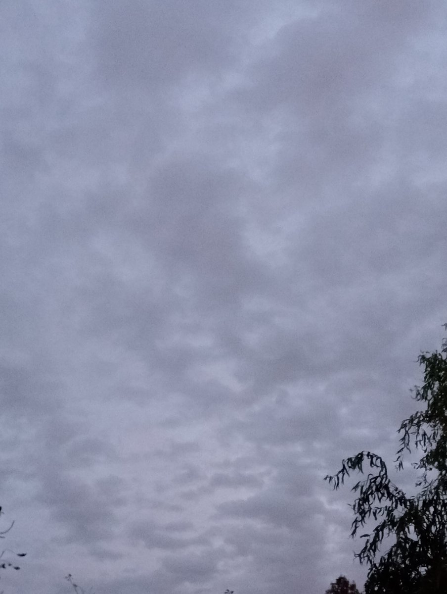 Lavante21575499's tweet image. The Netherlands, November 5th, 7:15am. Waking up to this crap every day. #geoengineering #HAARP #DOPPLER #NEXRAD #EISCAT. 🤬☠️💀🤮