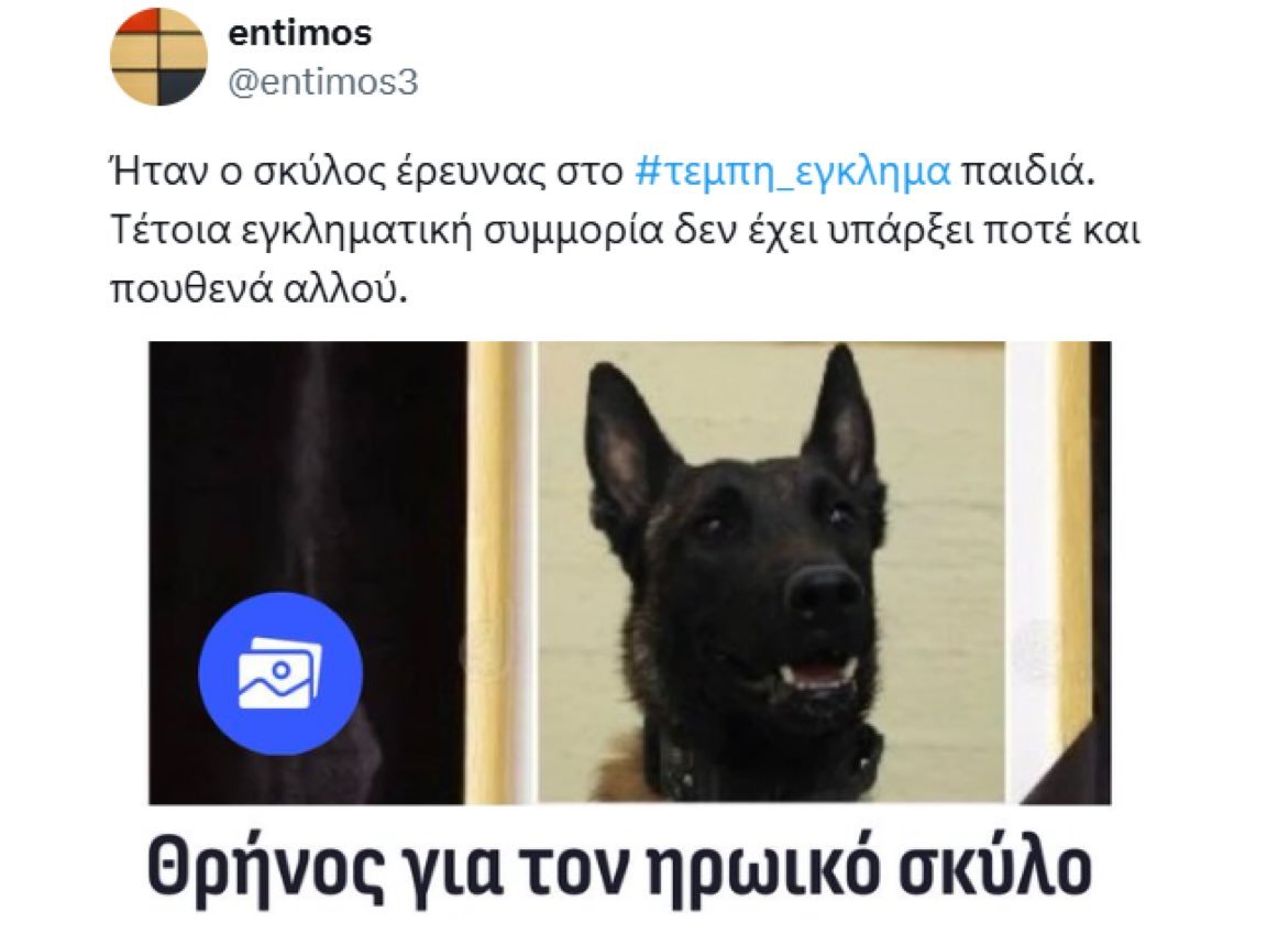 foivosloxias's tweet image. Φόλα, λίγο πριν την κατάθεση.
Τυχαίο;

#woof