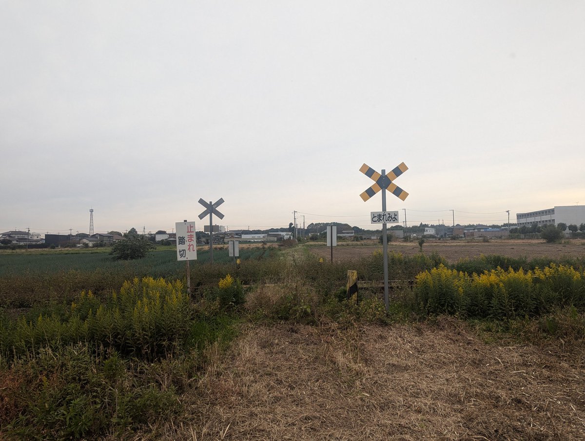 秘境踏切マップ見て来たけどこれは秘境なのかなぁ？
#踏切