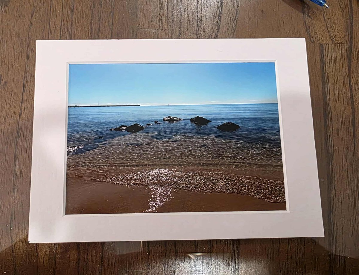 WE LOVE ESSENDON tweet media