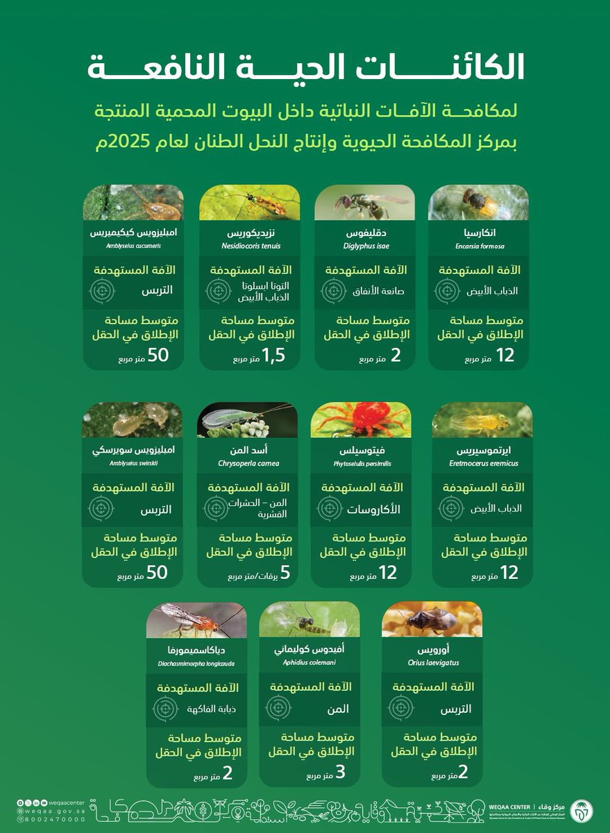 WeqaaCenter's tweet photo. يعمل مركز #وقاء على تطوير إنتاج #الكائنات_الحية_النافعة محليًا; من خلال تطوير حلولٍ فعّالة ومبتكرة، للإسهام في حماية التنوع البيولوجي والبيئي. 
تعرّف على أبرز الكائنات الحية النافعة التي يتم إكثارها في مركز المكافحة الحيوية وإنتاج النحل الطنان. https://t.co/GKdKFVZtv7