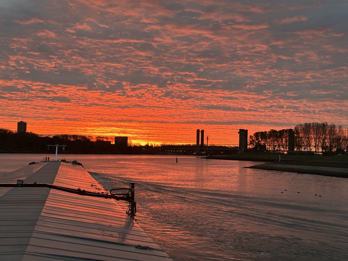 alida (@alidadenboer) on Twitter photo 