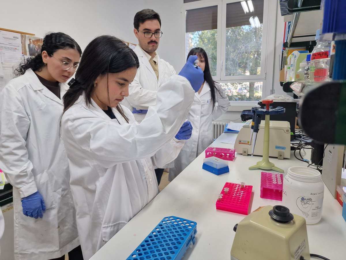 Joaquín Balduque tweet media