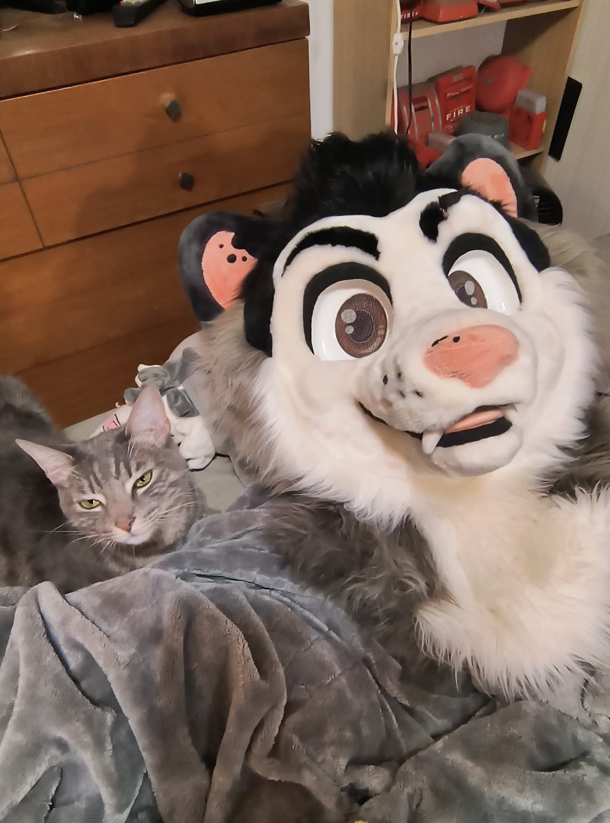 Jerry Opossum tweet media