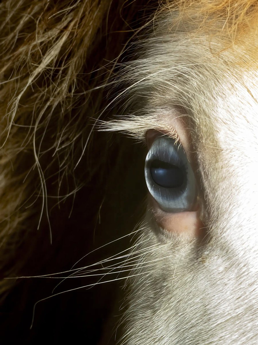 The Fashion Post（ザ・ファッションポスト） on X