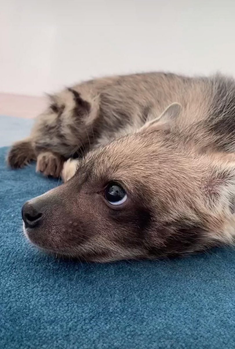 my worm has spotted you