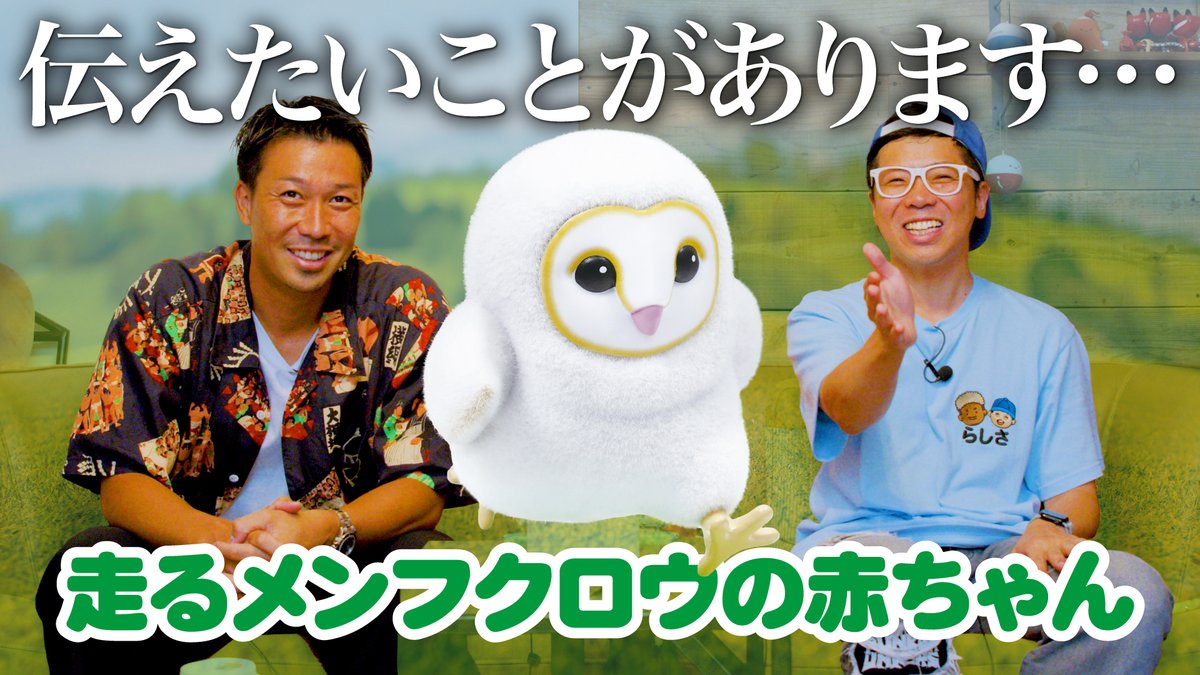 クオリア（Qualia)特別セット クオリア（Qualia)特別セット クオリア（Qualia)特別セット Qualia